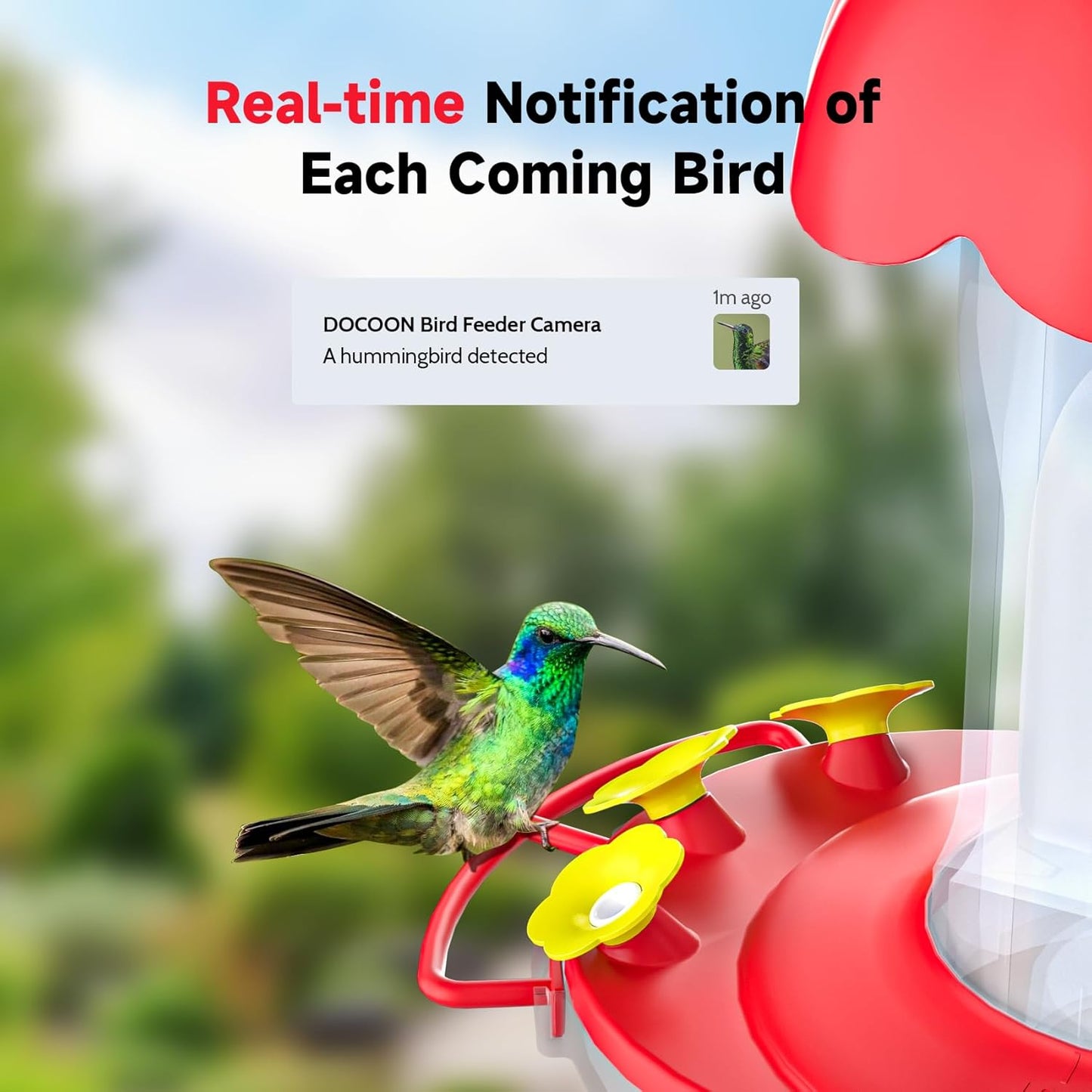 Hummingbird Feeder with Camera, Bird Watching Camera with Ant Moat, Bee Proof, AI Identify Bird Species, Instant Notifications, Ideal Present for Bi rd Lovers(20 Ounces)