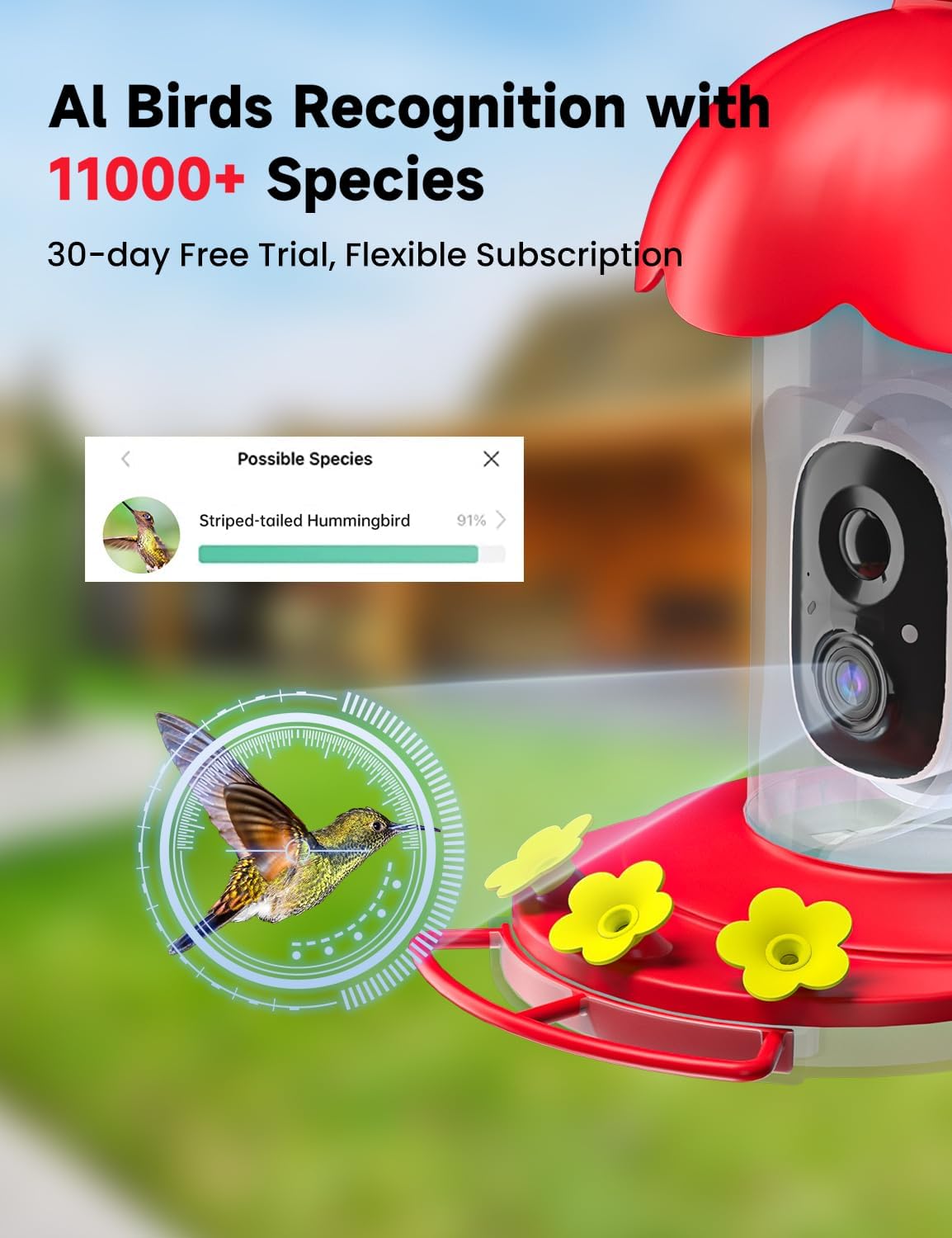 Hummingbird Feeder with Camera, Bird Watching Camera with Ant Moat, Bee Proof, AI Identify Bird Species, Instant Notifications, Ideal Present for Bi rd Lovers(20 Ounces)
