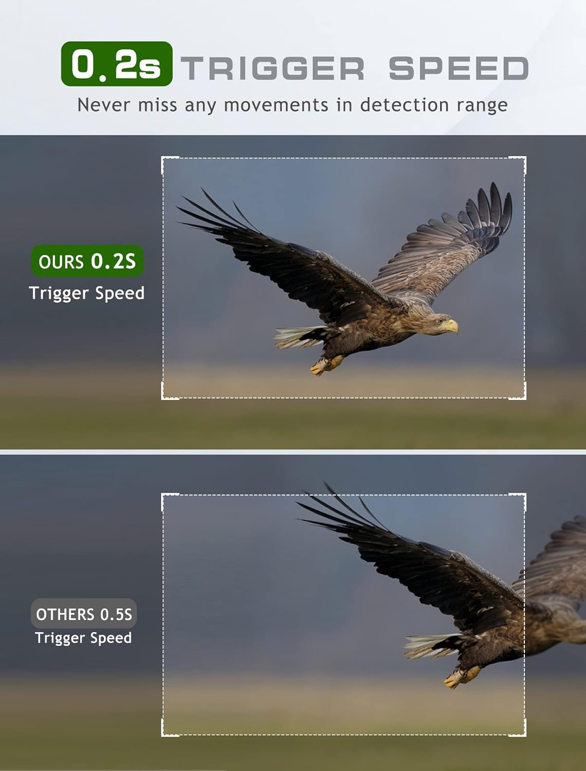 Mini Trail Camera - Game Camera 20MP 1080P with Night Vision Motion Activated Waterproof, Hunting Camera 0.2s Trigger Time for Wildlife Monitoring Deer Hunting-M9