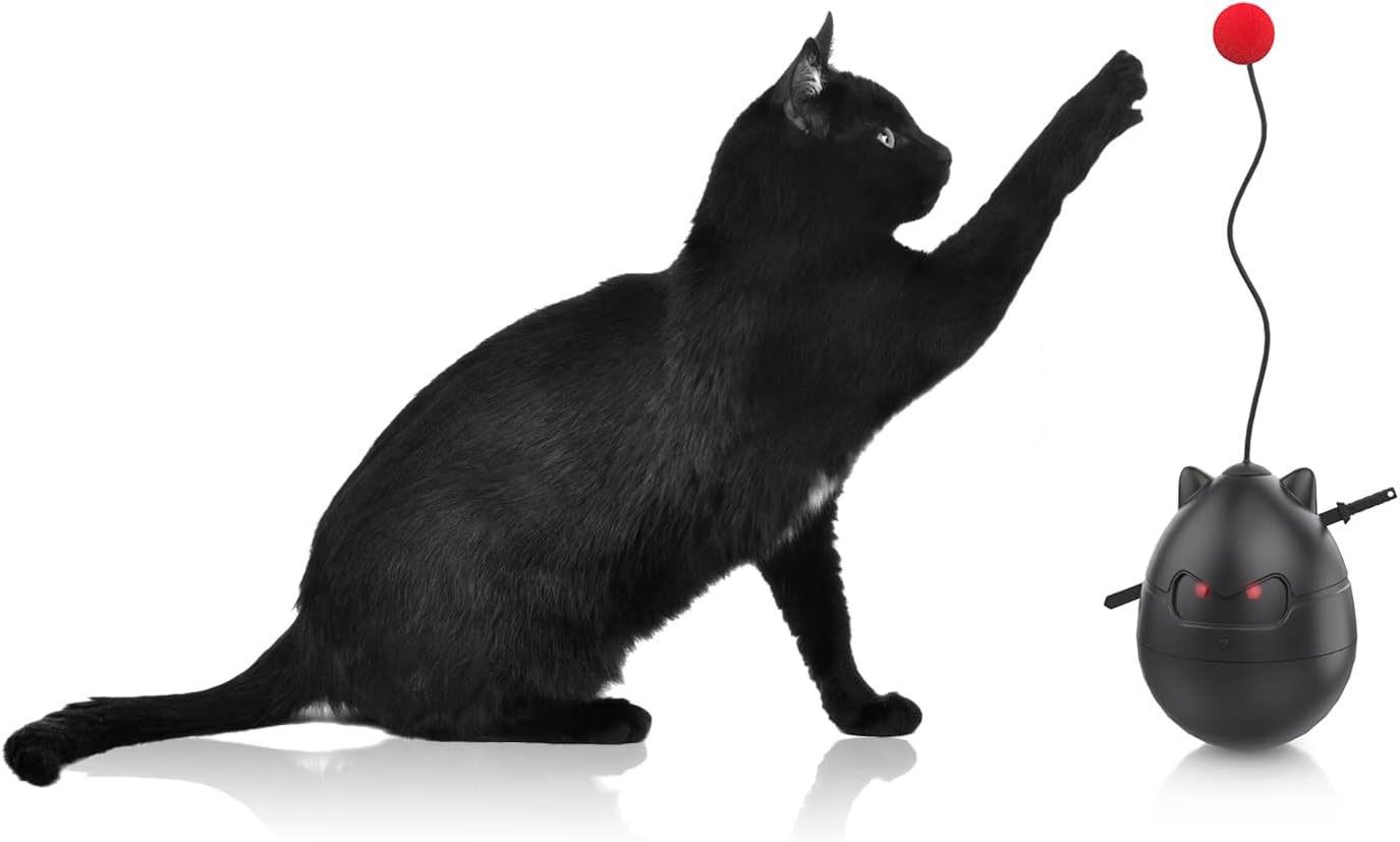 Cat Ball Toy for Indoor Kittens. Automatic Interactive Motion Activated Excersice Timing for Cats/Kitties (Black) ā¦