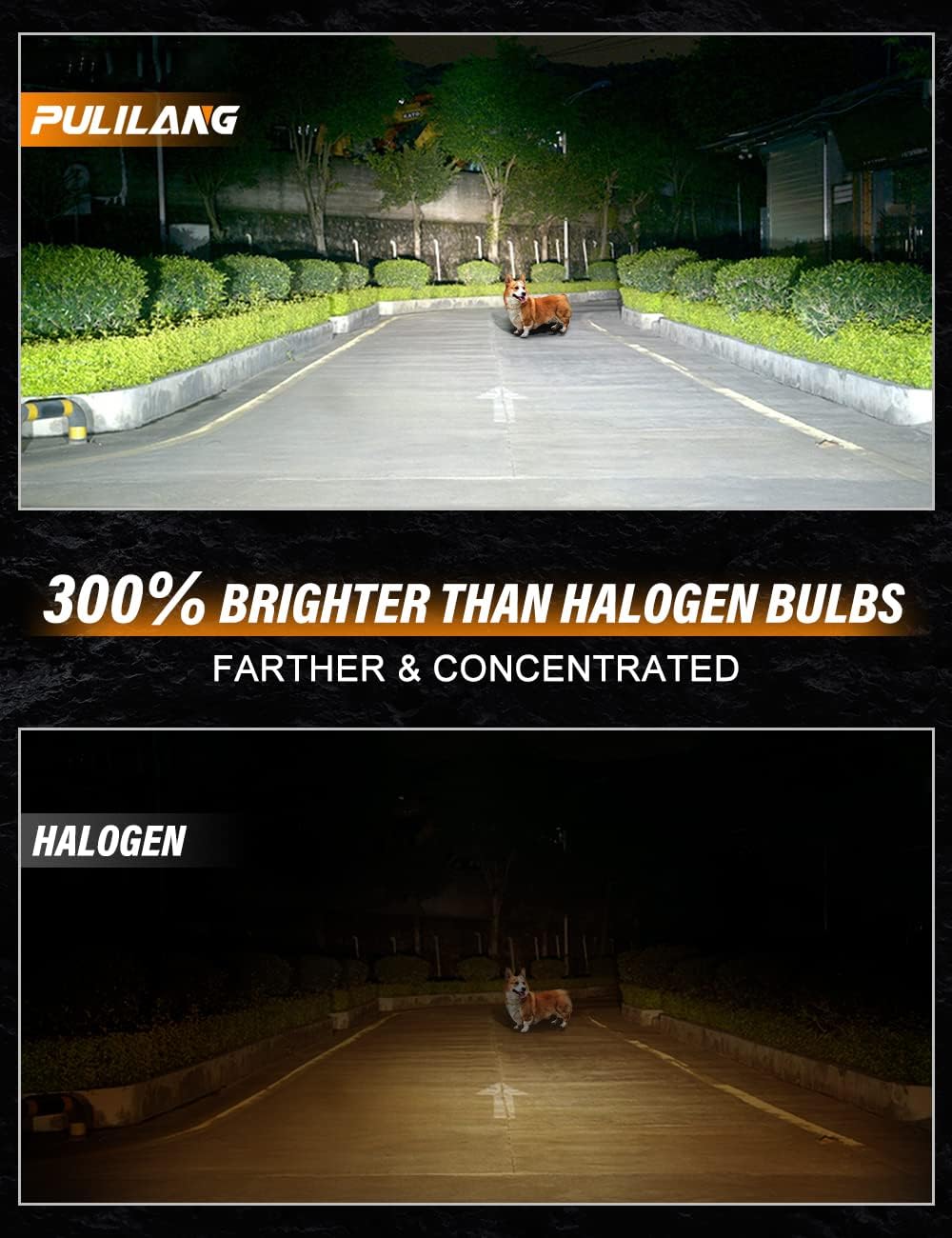 Pulilang H11/H8/H9 LED headlight Bulbs, 400% Brightness 6500K Cool White Headlight LED Restoration Kit IP67 Waterproof, Halogen Upgrade Replacement, Hi/Lo Beam Fog Light LED Bulbs Combo, Pack of 2
